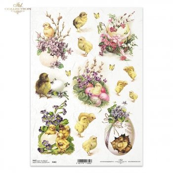 Rice paper R0482