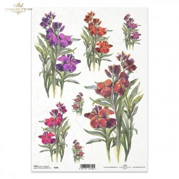 Papel de arroz para decoupage R0390