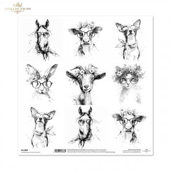 Papel para álbumes de recortes SL1989