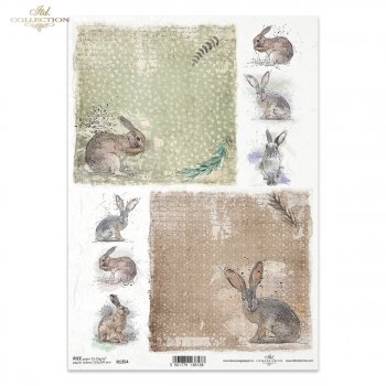 Papel de arroz para decoupage R1354
