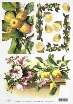 Papel Decoupage Arroz * R981 * temas florales, flores, uvas