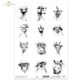 papel para scrapbooking - el papel translúcido P0366