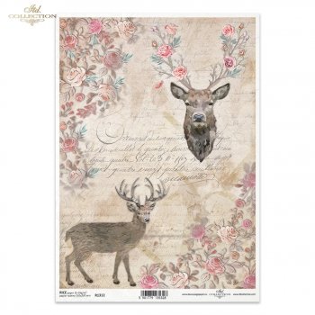 Papel de arroz para decoupage R1312