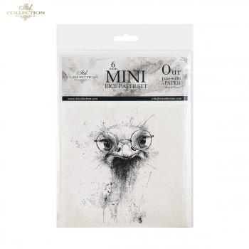 Zestaw papierów ryżowych (HS code 48021000) RSM253