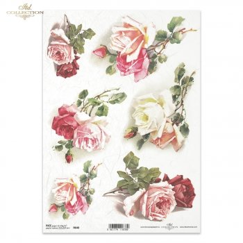 Papier ryżowy (HS code 48021000) R0648
