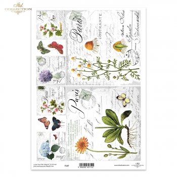 Folia przezroczysta (HS code 39261000) F147
