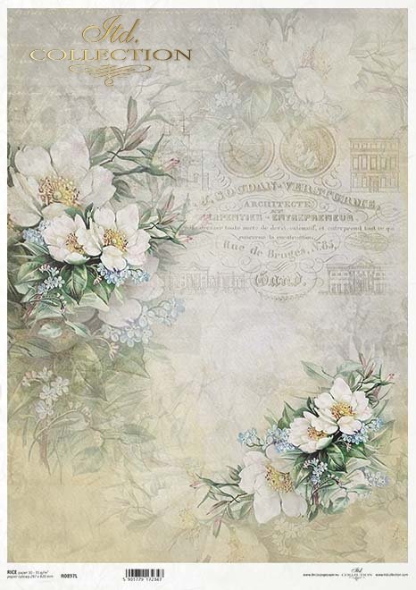 Seria Flower Post - White, Kwiatowa Poczta w bieli, niezapominajki, kwiaty owocowe*Series Flower Post - White, Flower Post in white, forget-me-nots, fruit flowers