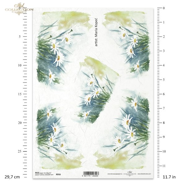 rumianek, rumianki, kwiat, ogród, łąka, wiosna, autorka grafiki Maria Kopeć, R916, camomile, flower, garden, meadow, spring, Kamille, Blume, Garten, Wiese, Frühling, manzanilla, flor, jardín, prado, primavera