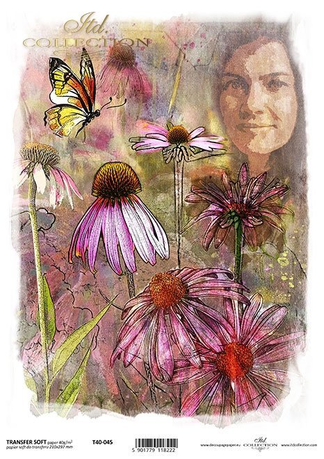 Seria - Zielarka, echinacea, jeżówka*Series - Herb, echinacea, coneflower*Serie - Kraut, Echinacea, Sonnenhut*Serie - Hierba, equinácea, coneflower