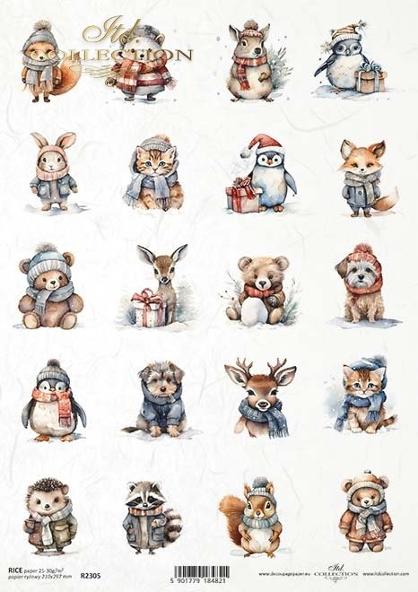 zwierzaki w zimowych strojach*pets in winter outfits*Haustiere im Winteroutfit*mascotas con ropa de invierno