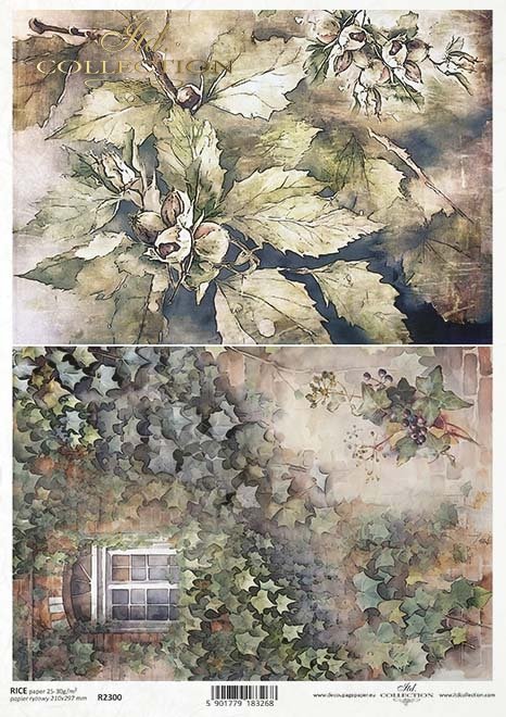 jesienne widoczki, rośliny, bluszcz, okno, jesień, liście*autumn views, plants, ivy, window, autumn, leaves*Herbstansichten, Pflanzen, Efeu, Fenster, Herbst, Blätter*vistas de otoño, plantas, hiedra, ventana, otoño, hojas