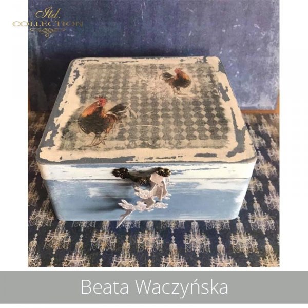 20190430-Beata Waczyńska-R1351-A4-R0207L-ITD0647-ITDS0444-example 01