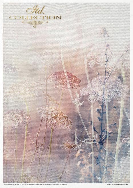 Zestaw kreatywny na papierze ryżowym - Letnia łąka*Creative set on rice paper - Summer meadow