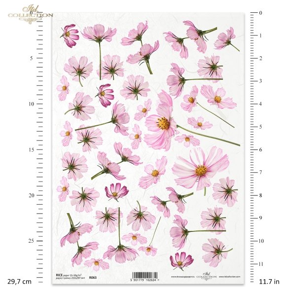 flower, flowers, meadow, garden, cosmos
