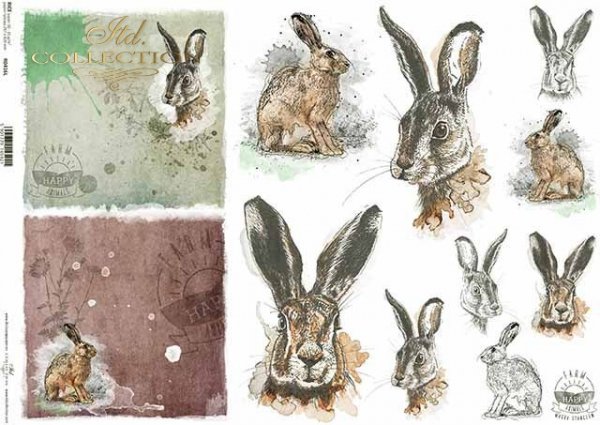 R0416L * króliki, szare zające, głowy zajęcy i królików, napisy 'happy farm'