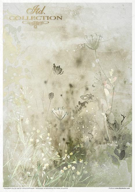Zestaw kreatywny na papierze ryżowym - Letnia łąka*Creative set on rice paper - Summer meadow