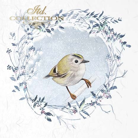 zimowe ptaki, wieńce mrozem malowane*decorated with frost, winter birds, wreaths*dekoriert mit Frost, Wintervögeln, Kränzen*decorado con escarcha, pájaros de invierno, coronas