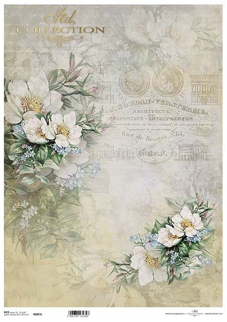 Seria Flower Post - White, Kwiatowa Poczta w bieli, niezapominajki, kwiaty owocowe*Series Flower Post - White, Flower Post in white, forget-me-nots, fruit flowers