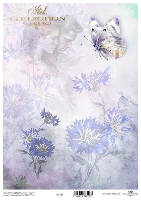 akwarelowe tła, kwiaty, motyle, owady, zakochane pary, chabry*Watercolour backgrounds, flowers, butterflies, insects, couples in love, cornflowers*Aquarell-Hintergründe, Blumen, Schmetterlinge, Insekten, verliebte Paare, Kornblumen*Fondos de acuarela, flo