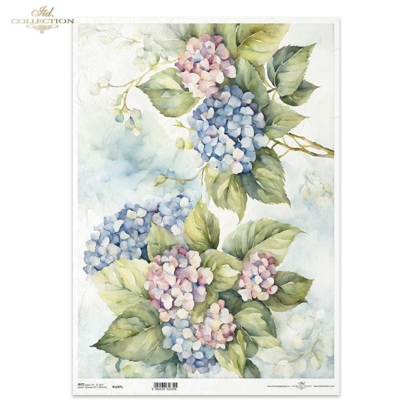 letnie kwiaty, bukiet kwiataów*Summer flowers, flower bouquet*Sommerblumen, Blumenstrauß*Flores de verano, ramo de flores 