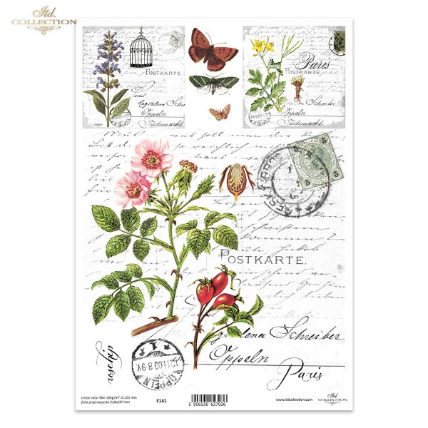 dzika róża, kwiaty, zioła, motyle*wild rose, flowers, herbs, butterflies*Wildrosen, Blumen, Kräuter, Schmetterlinge*rosa silvestre, flores, hierbas, mariposas