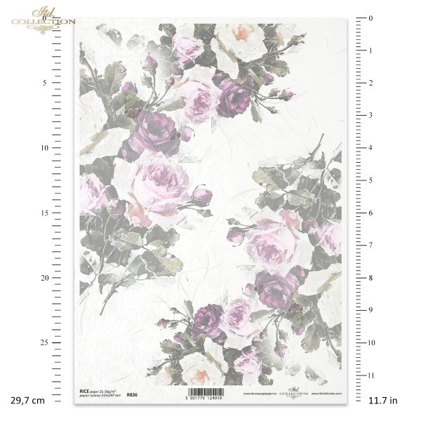 róża, róże, ogród, kwiat, wiosna, lato, pastel, R836, rose, garden, flower, spring, summer, pastel, Rose, Rosen, Garten, Blume, Frühling, Sommer, Pastell, rosa, rosas, jardín, flor, primavera, verano, pastel 