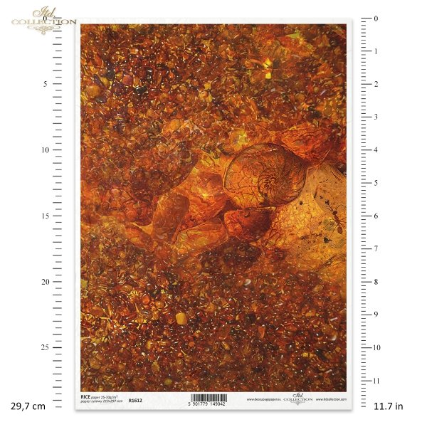 zanurzone w bursztynie, bursztyn, jantar, amber, inkluzje, kamienie ozdobne, biżuteria, amonit, mrówka, gemstones, amber collection, inclusions, jewellery, ammonite, ant, Bernstein Sammlung, Bernstein, Einschlüsse, Schmuck, Ammonit