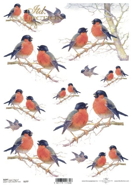 papír pro decoupage Soft S0177