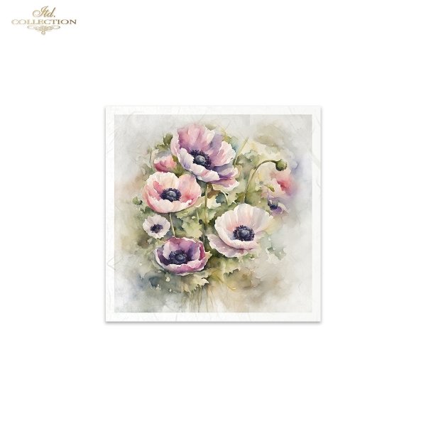 letnie kwiaty, bukiet kwiatów*Summer flowers, flower bouquet*Sommerblumen, Blumenstrauß*Flores de verano, ramo de flores 