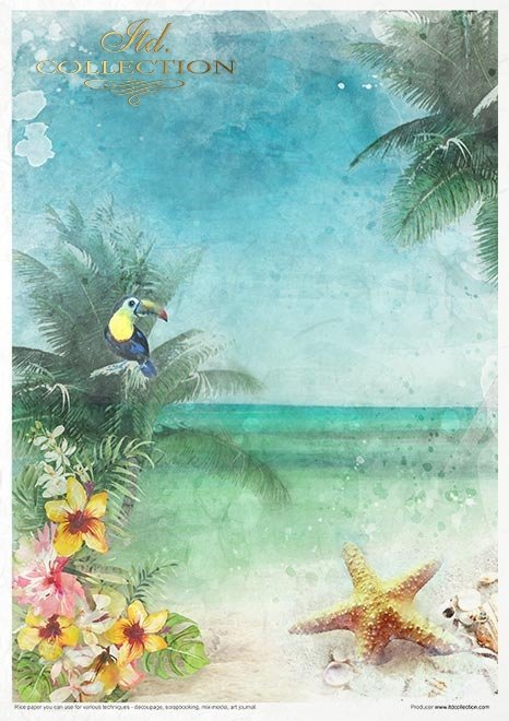 Zestaw kreatywny na papierze ryżowym - Tropikalne marzenia*Creative set on rice paper - Tropical dreams