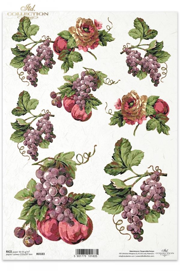 owoce, czerwone, winogrona, winogrono, martwa natura, R183, fruits, grapes, grape, apple, still life, frutas, uvas, fruta, rojo, uva , Obst, Rotwein, Weintraube, Traube, Stilleben, Früchte, Trauben