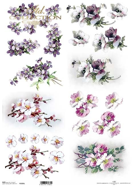 wiosenne kwiaty, kwiaty owocowe, fiołki, mak wschodni*spring flowers, fruit flowers, violets, eastern poppies*Frühlingsblumen, Obstblumen, Veilchen, Klatschmohn*flores de primavera, flores frutales, violetas, amapolas orientales