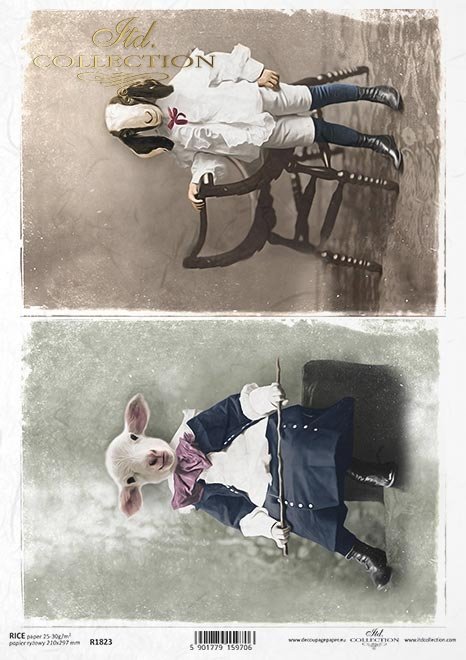 zwierzęta retro, zwierzęta w strojach, zoomorfizm, vintage, owieczka, baranek*retro animals, animals in costume, zoomorphism, vintage, sheep, lamb