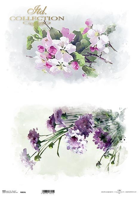wiosenne kwiaty, czosnek, kwiaty jabłoni, wiśni*spring flowers, garlic, apple blossoms, cherry blossoms*Frühlingsblumen, Knoblauch, Apfelblüten, Kirschblüten*flores de primavera, ajo, manzanas en flor, cerezos en flor