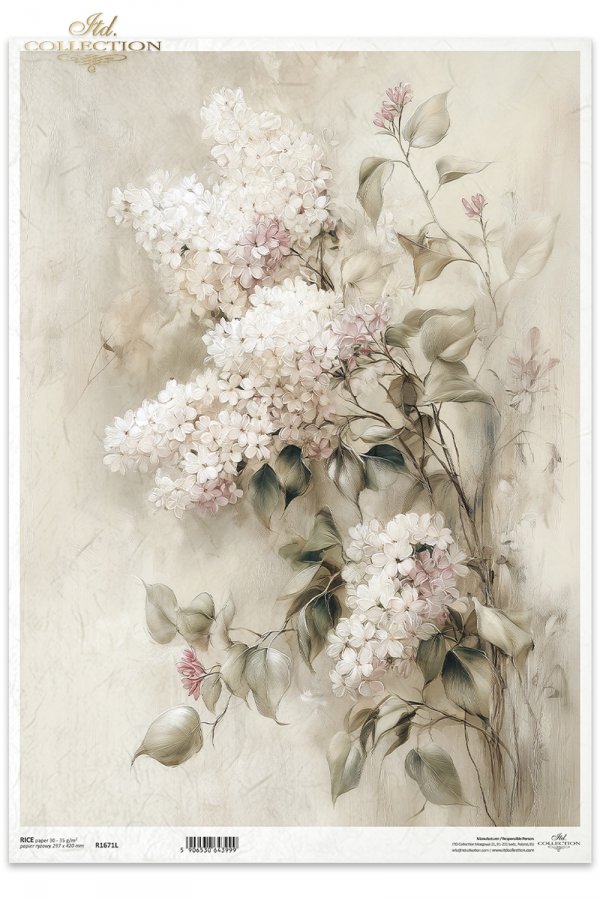 vintage, flora, bukiety, kwiaty, botanika, bez