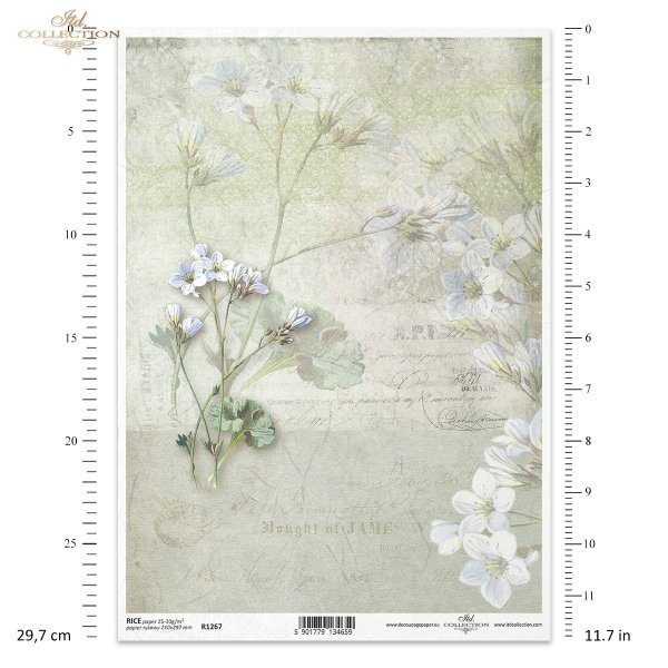 letter, handwriting, old inscriptions, linen flowers, flax, field flowers, meadow, garden, Brief, Handschrift, alte Inschriften, Leinenblumen, Flachs, Feldblumen, Wiese, Garten, letra, escritura a mano, inscripción antigua