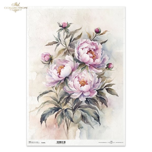 letnie kwiaty, bukiet kwiataów*Summer flowers, flower bouquet*Sommerblumen, Blumenstrauß*Flores de verano, ramo de flores 