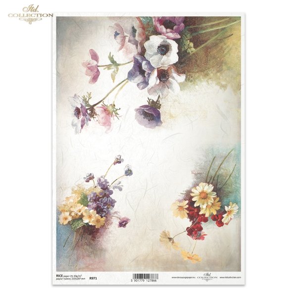 anemon, prymulka, prymulki, fiołek, fiołki, stokrotka, stokrotki, bukiet, kwiat, łąka, ogród, wiosna, lato, R971, anemone, primrose, primulas, violet, daisy, daisies, bouquet, flower, meadow, garden, spring, summer, Anemone, Primel, Primeln, Veilchen, Gän
