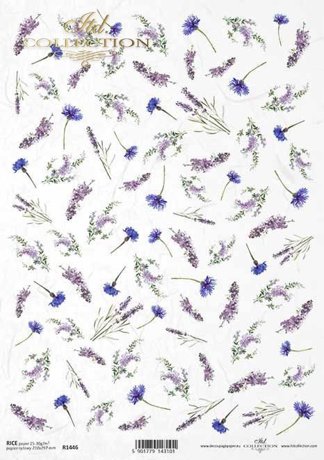 flores, acianos, lavanda, perovskia, pequeños elementos*Blumen, Kornblumen, Lavendel, Perovskia, kleine Elemente*цветы, васильки, лаванда, перовская, мелкие элементы