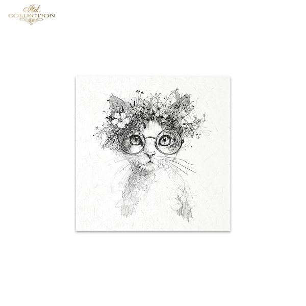 Reispapier Satz RSM255