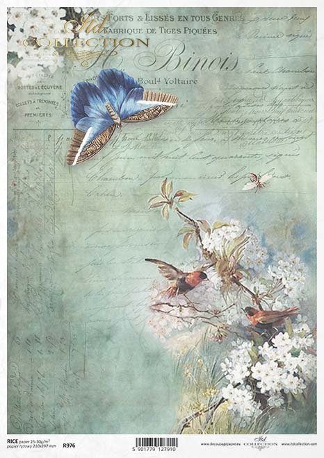 kwiat, ptak, motyl, ćma, ogród, pastelowe tło, list, ręczne pismo, krzew owocowy, drzewo owocowe, R976, flower, bird, butterfly, moth, garden, pastel background, letter, handwriting, fruit bush, fruit tree, Blume, Vogel, Schmetterling, Motte, Garten, past