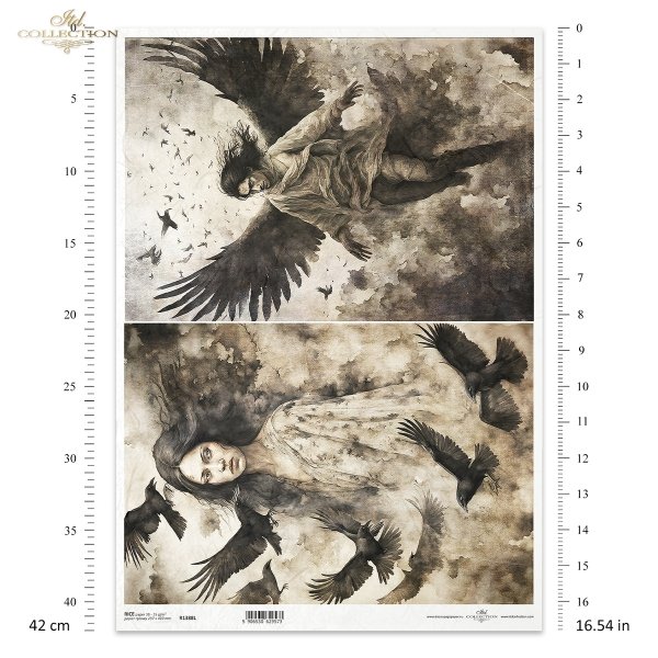 demons, transformation, woman, women, man, ravens, crows, rooks, birds, evil, mystery, wing, wings, Schwarz &amp; Weiß, Dämonen, Verwandlung, Frauen, Mann, Raben, Krähen, Vögel, böse, Geheimnis, Flügel, Blanco y Negro
