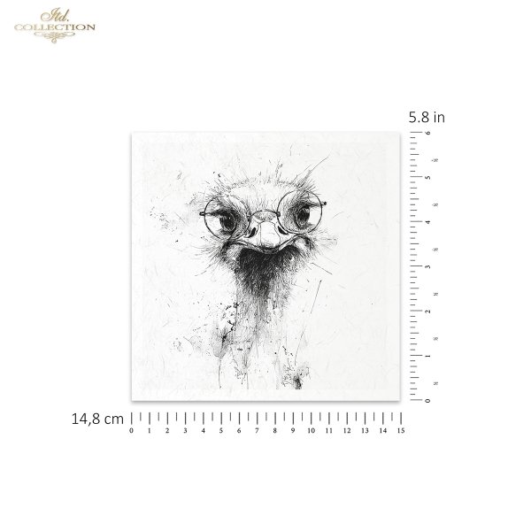 Reispapier Satz RSM253