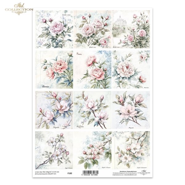 roze, peonie, kwiaty jabloni, magnolia*flowers, roses, peonies, apple blossoms, magnolia*Blumen, Rosen, Pfingstrosen, Apfelblüten, Magnolien*flores, rosas, peonías, manzanos en flor, magnolias