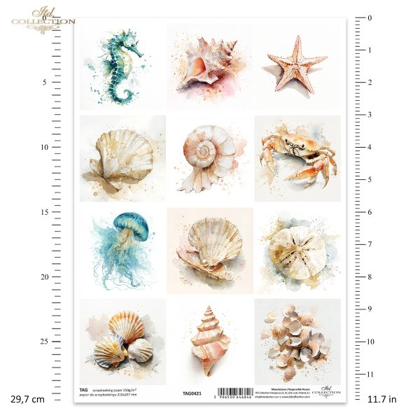Muszle, małże, ślimak, perła, plaża, ocean, natura, akwarela, konik morski, meduza, jeżowiec, krab, rozgwiazda, fauna*Sea shells, clams, snail, pearl, beach, ocean, nature, watercolor, seahorse, jellyfish, sea urchin, crab, starfish, fauna