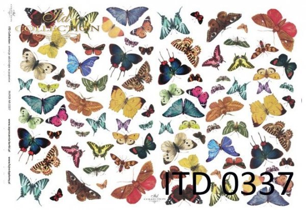 motyle-motylki-różnokolorowe-papier-decoupage-D0337M