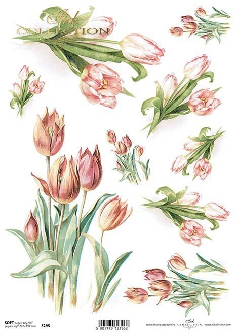 tulipanes de papel decoupage*decoupage papír tulipány*Decoupage Papier Tulpen