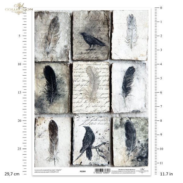 pióra, ptaki, kruki, gawrony, stare papiery, manuskrypty, styl vintage, grunge*feathers, birds, ravens, crows, old paper, manuscripts, vintage style, grunge
