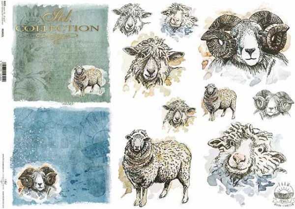 R0402L * owca, baran, głowy owcy, głowy barana, napisy 'happy farm'
