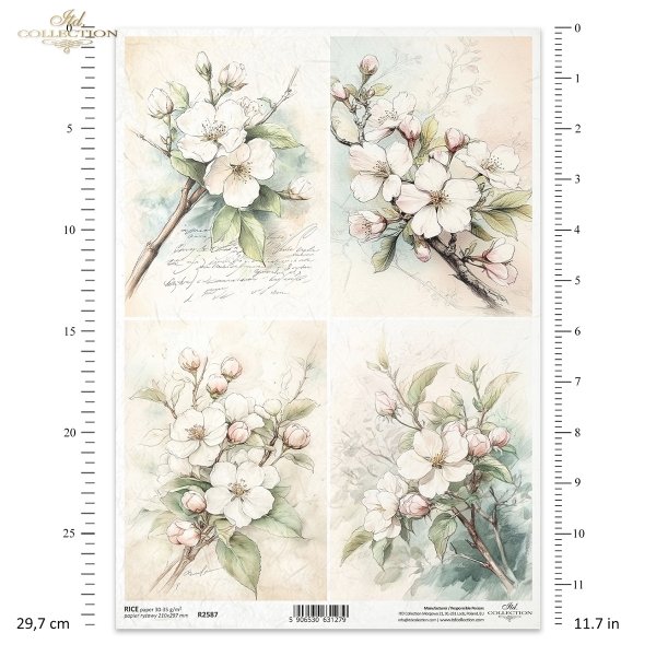 kwiaty flowers Blumen flores 